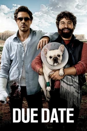 Due Date (2010) Hindi Dual Audio 300MB - Movierulz