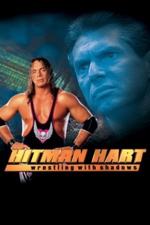 Hitman (1998) Hindi Dual Audio [1.1GB] - Movierulz