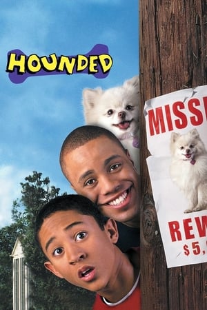 Hounded 2001 Hindi Dual Audio 310MB - Movierulz