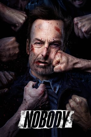 Nobody (2021) Hindi (Cleaned) Dual Audio [880MB] - Movierulz