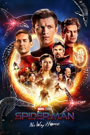 Spider-Man: No Way Home (2021) Hindi (ORG) Dual Audio – - Movierulz