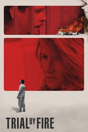 Trial by Fire 2018 Hindi Dual Audio 400MB - Movierulz